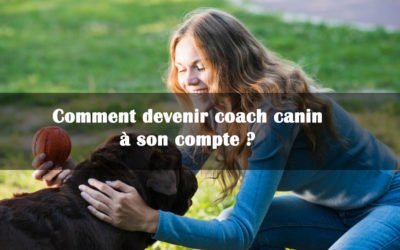 Comment devenir coach canin à son compte ?