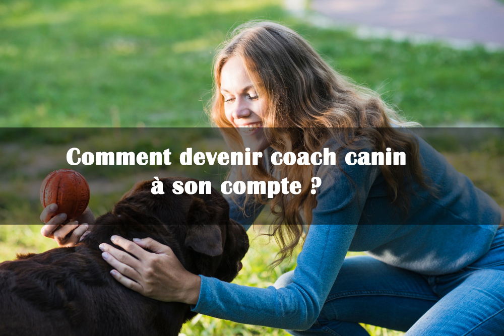 devenir coach canin a son compte